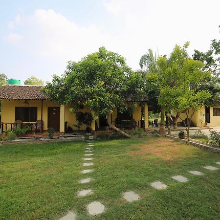 Bardia Eco Friendly Homestay Bardiya Exterior foto