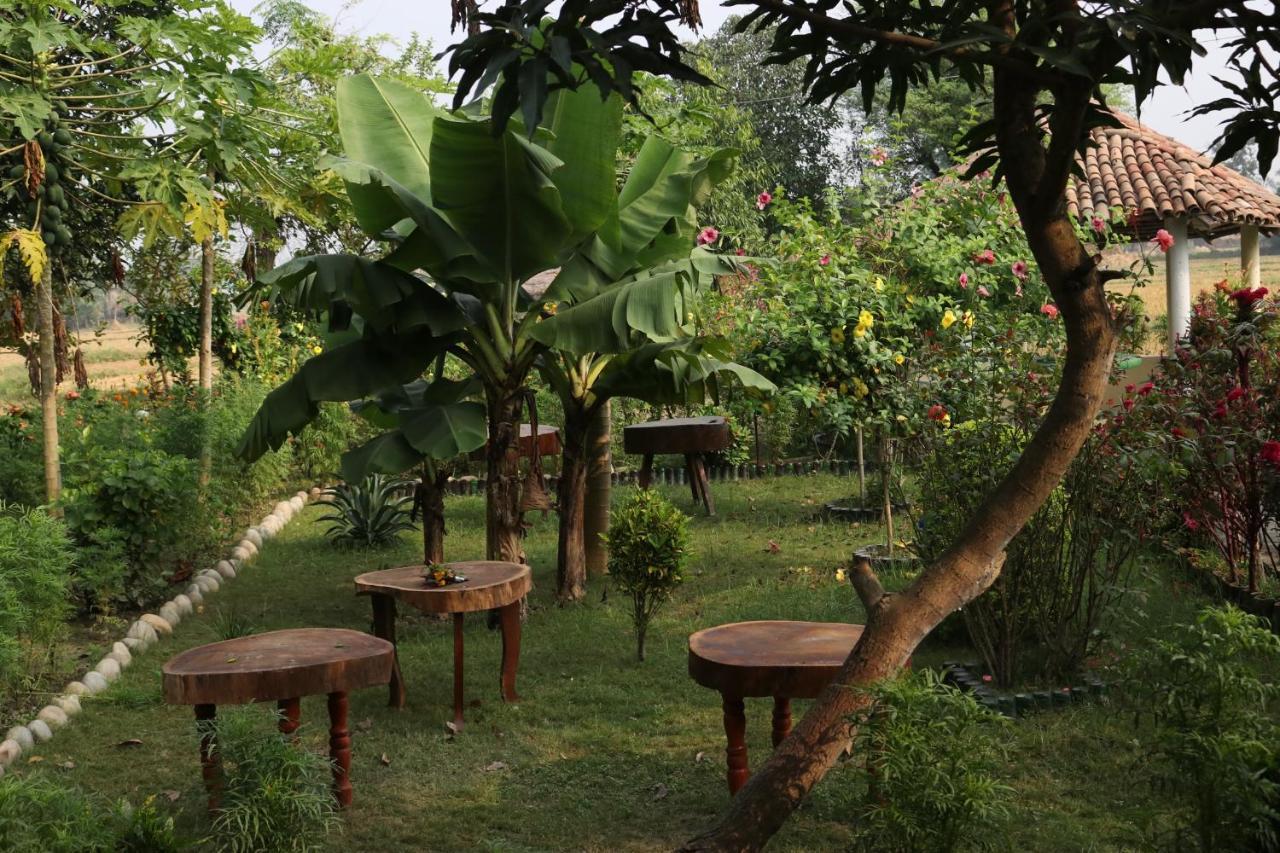 Bardia Eco Friendly Homestay Bardiya Exterior foto
