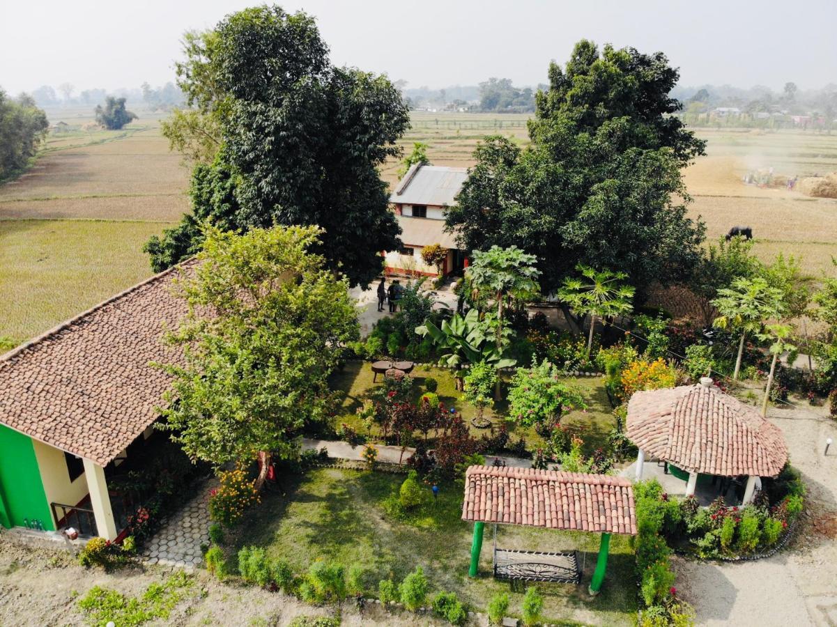 Bardia Eco Friendly Homestay Bardiya Exterior foto