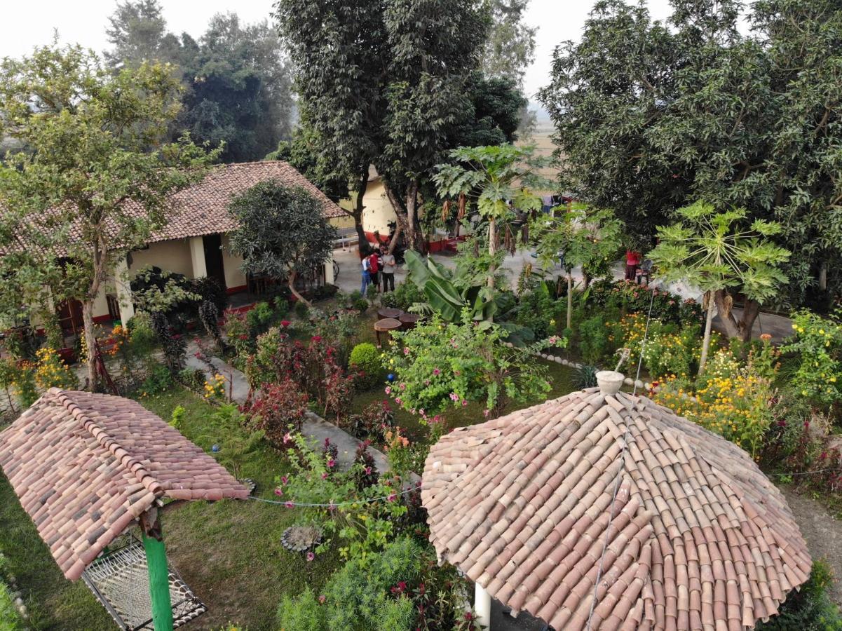 Bardia Eco Friendly Homestay Bardiya Exterior foto