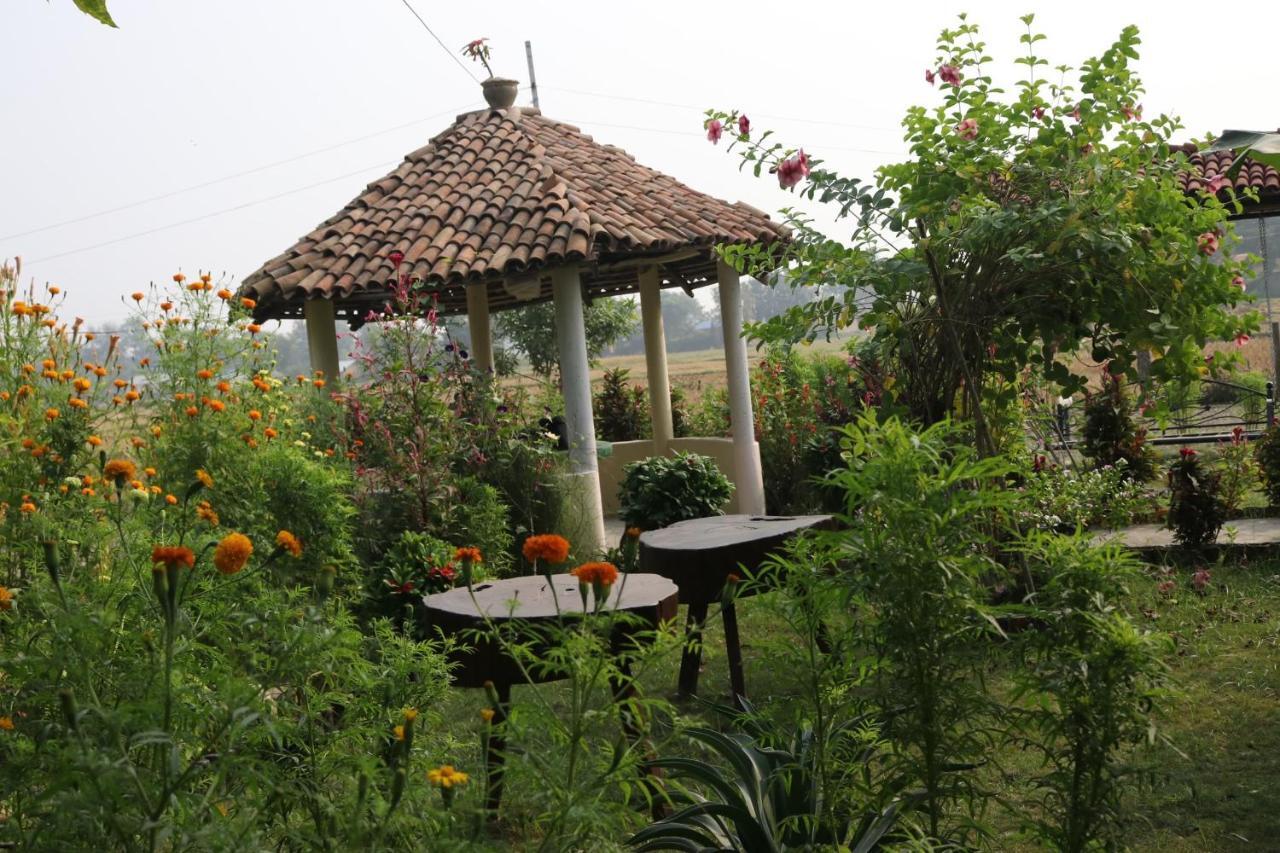 Bardia Eco Friendly Homestay Bardiya Exterior foto