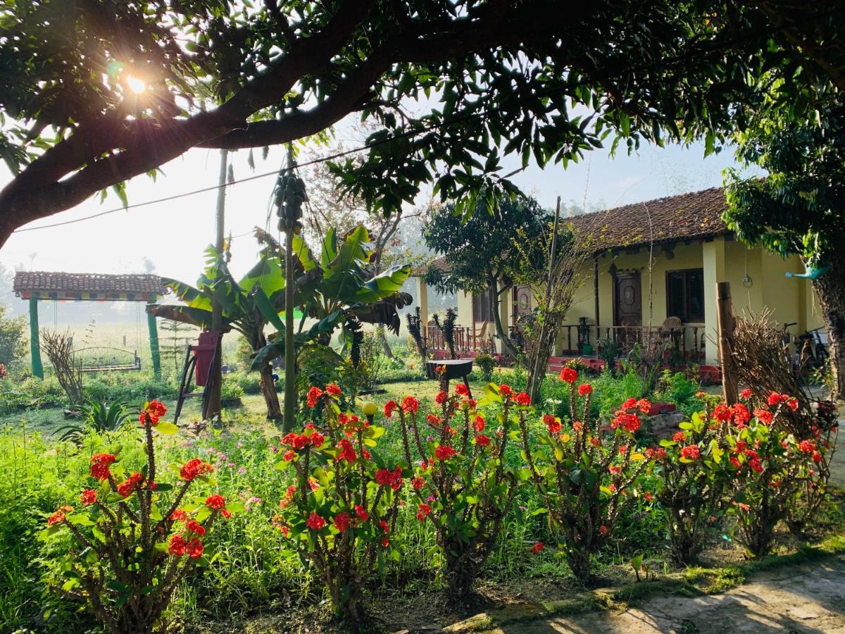 Bardia Eco Friendly Homestay Bardiya Exterior foto